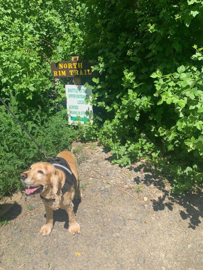 watkins glen state park rim trail with franklin