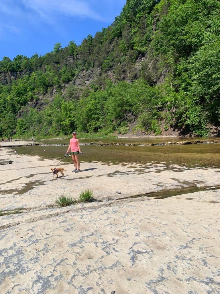 taughahannock falls creek walk