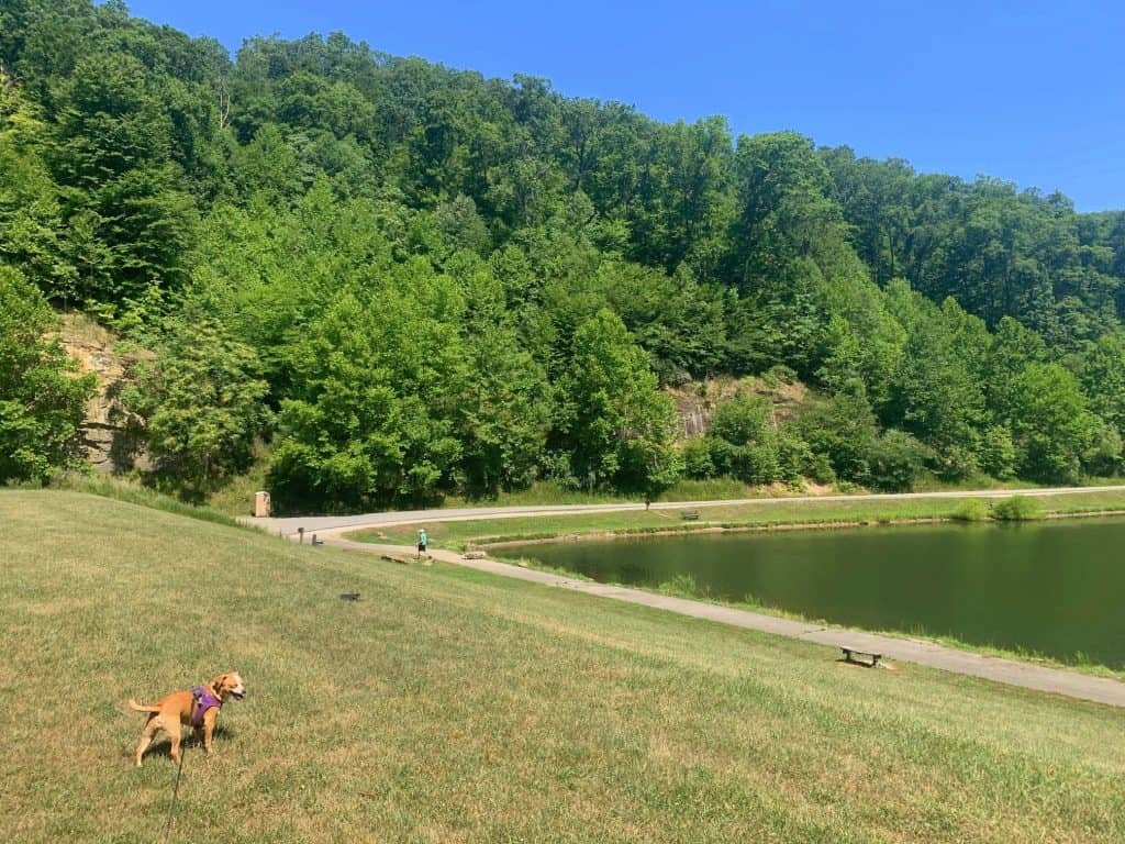 hazel rounding lakeshore trail at chief logan state park