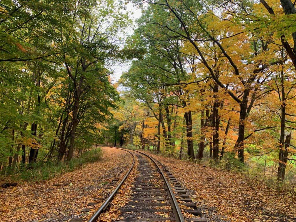 leaf peeping on the rail bikes