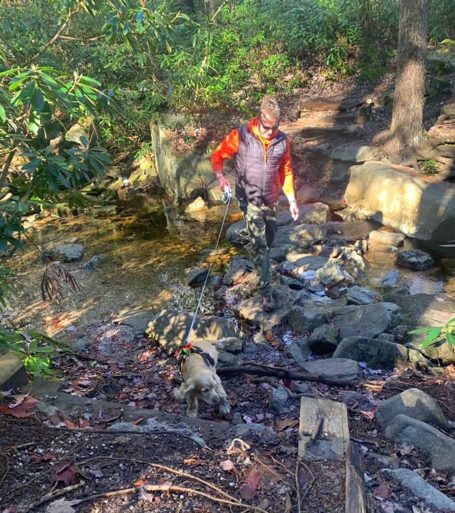 franklin crossing over to blackwater falls