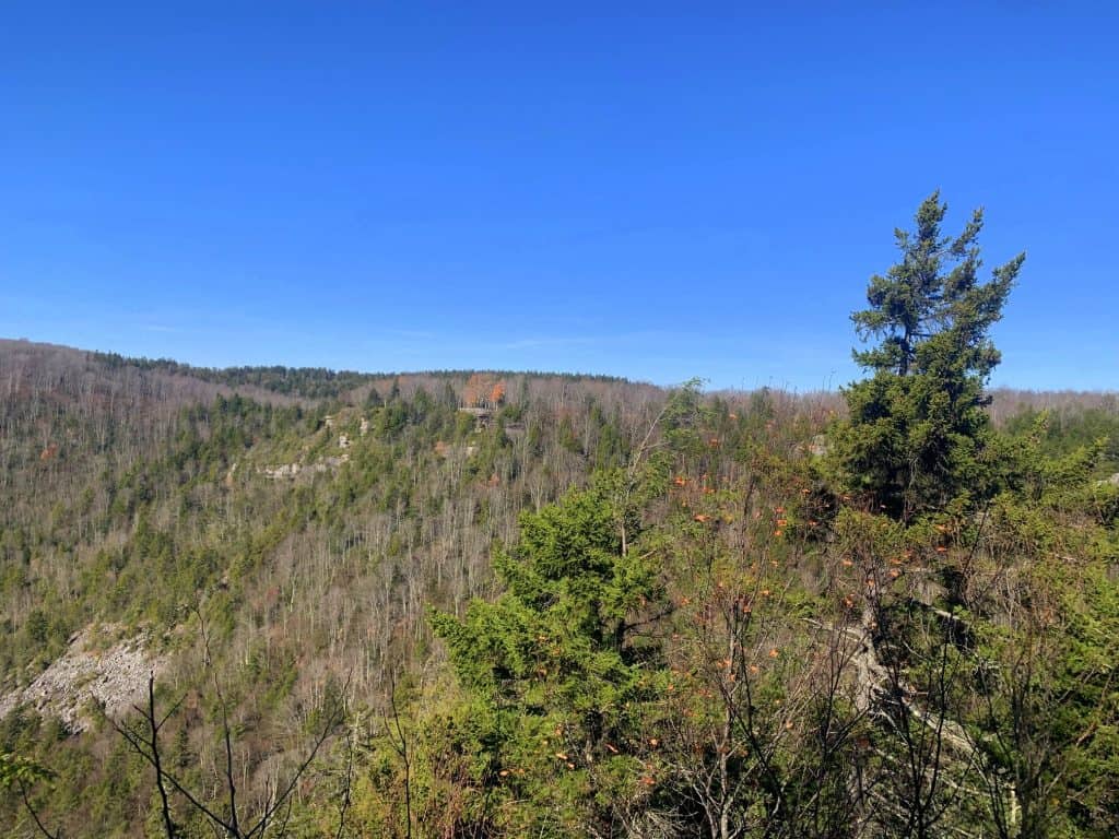 overlook at blackwater falls state park