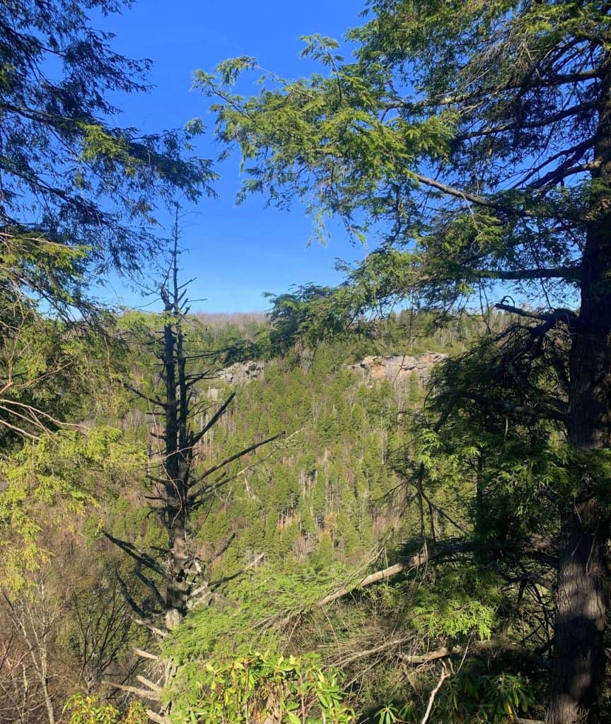 blackwater falls lodge lookouts 2