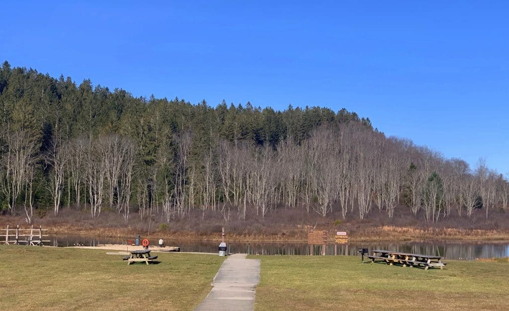 lake at blackwater falls