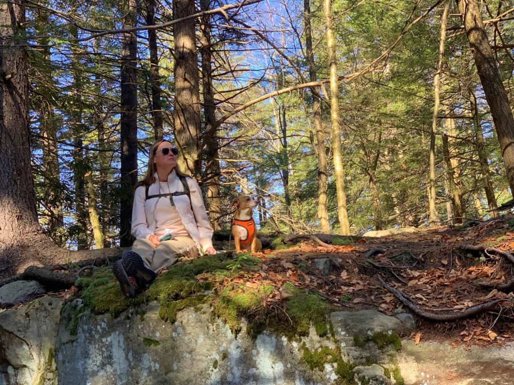 blackwater falls west virginia dog hiking