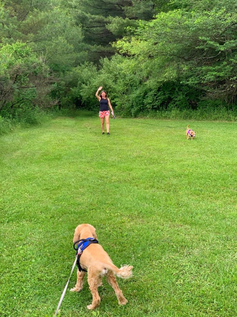 around herrington manor lake with the dogs