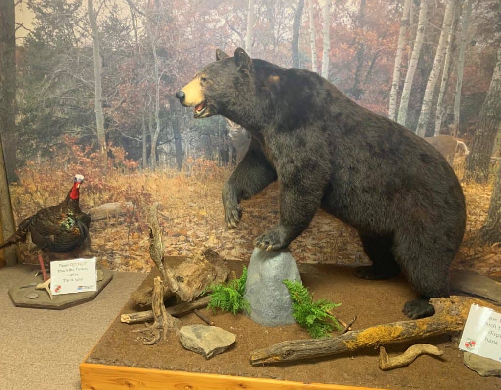 herrington manor bear and turkey