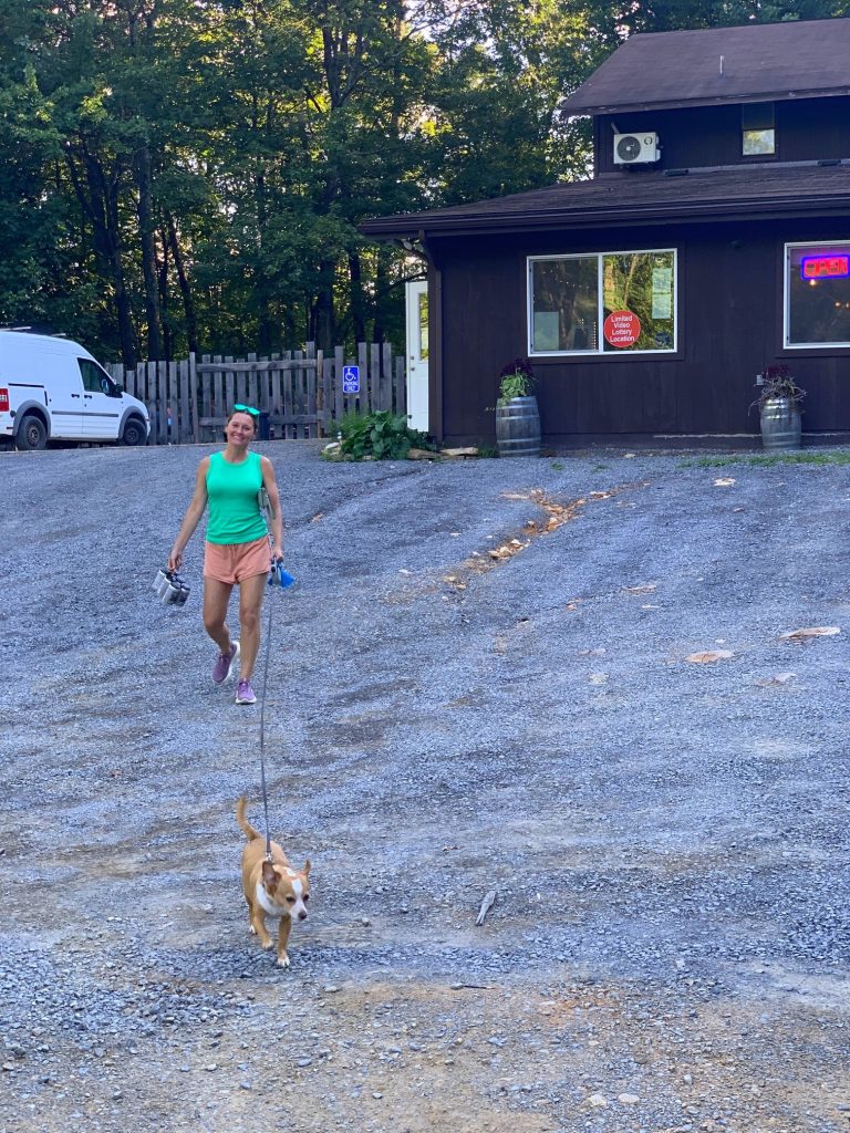berkeley springs brewing company dog-friendly