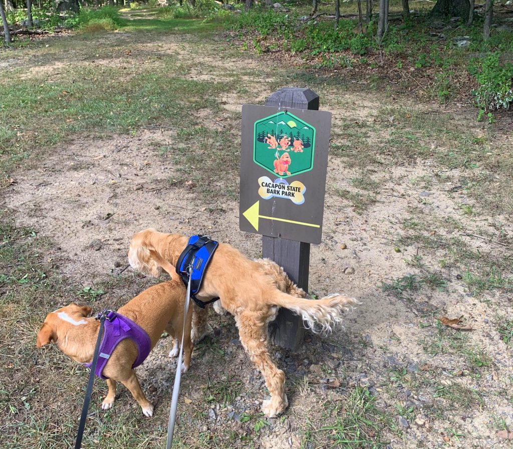 bark park sign with hazel and franklin at cacapon state park
