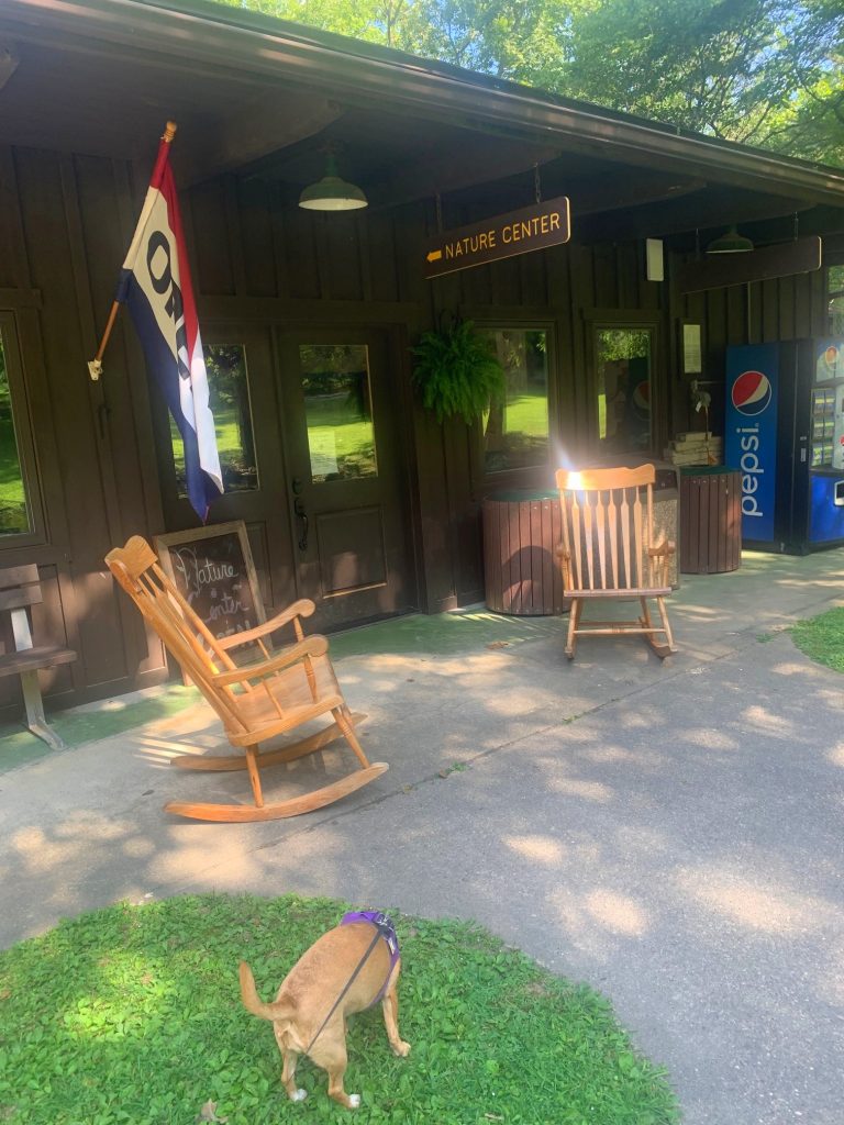 tygart lake state park nature center