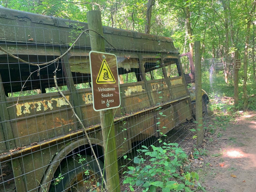 school bus snake warning in tygart lake state park