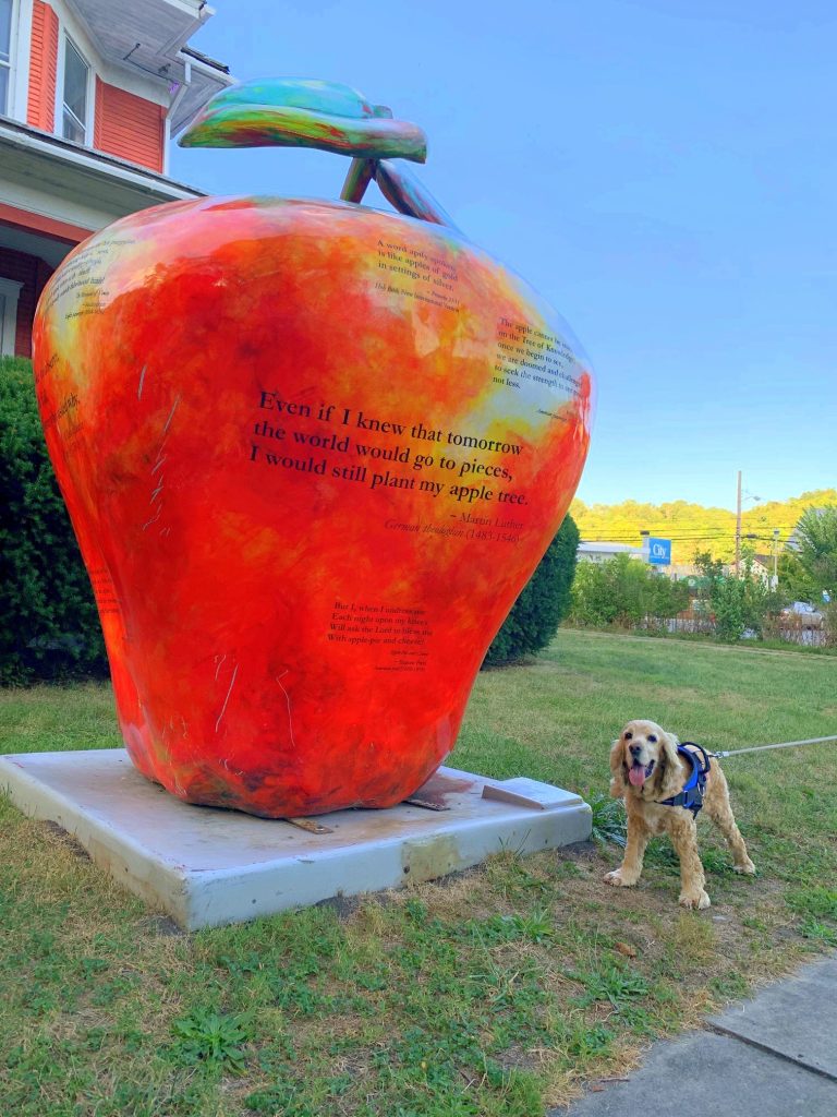 franklin next to berkeley springs apple