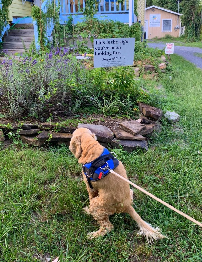 a sign from the universe with franklin