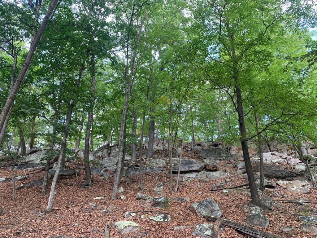 laural trail at cacapon state park rock formation
