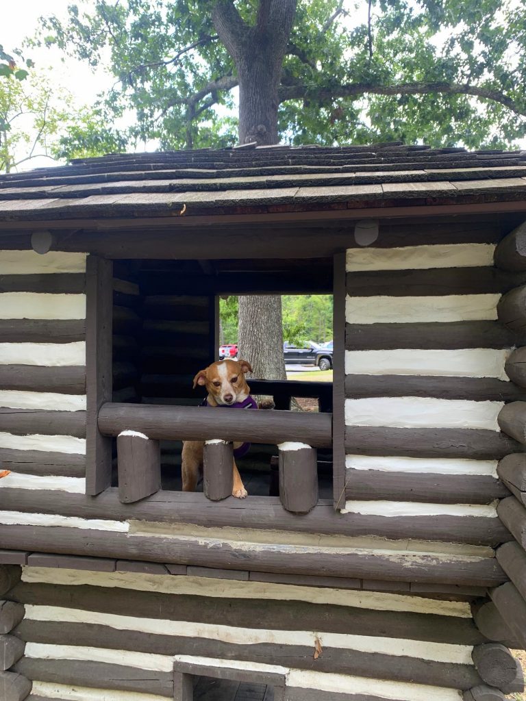 hazel-sized log cabins at cacapon state park