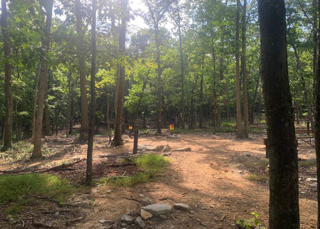 cacapon state park mountain biking trails on hillside