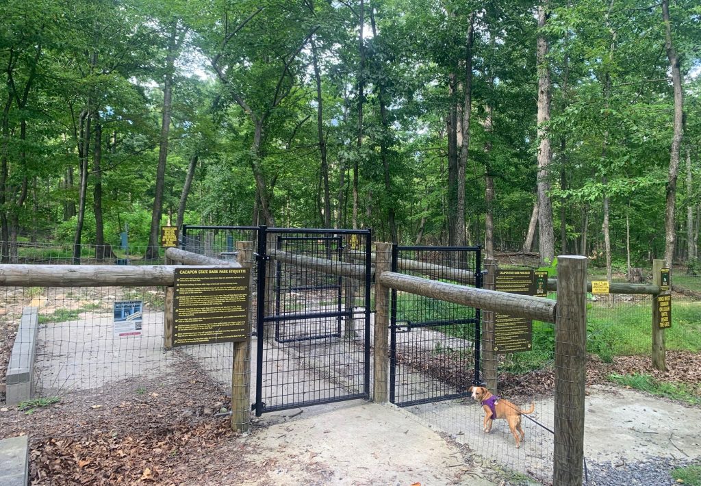 bark park at cacapon state park