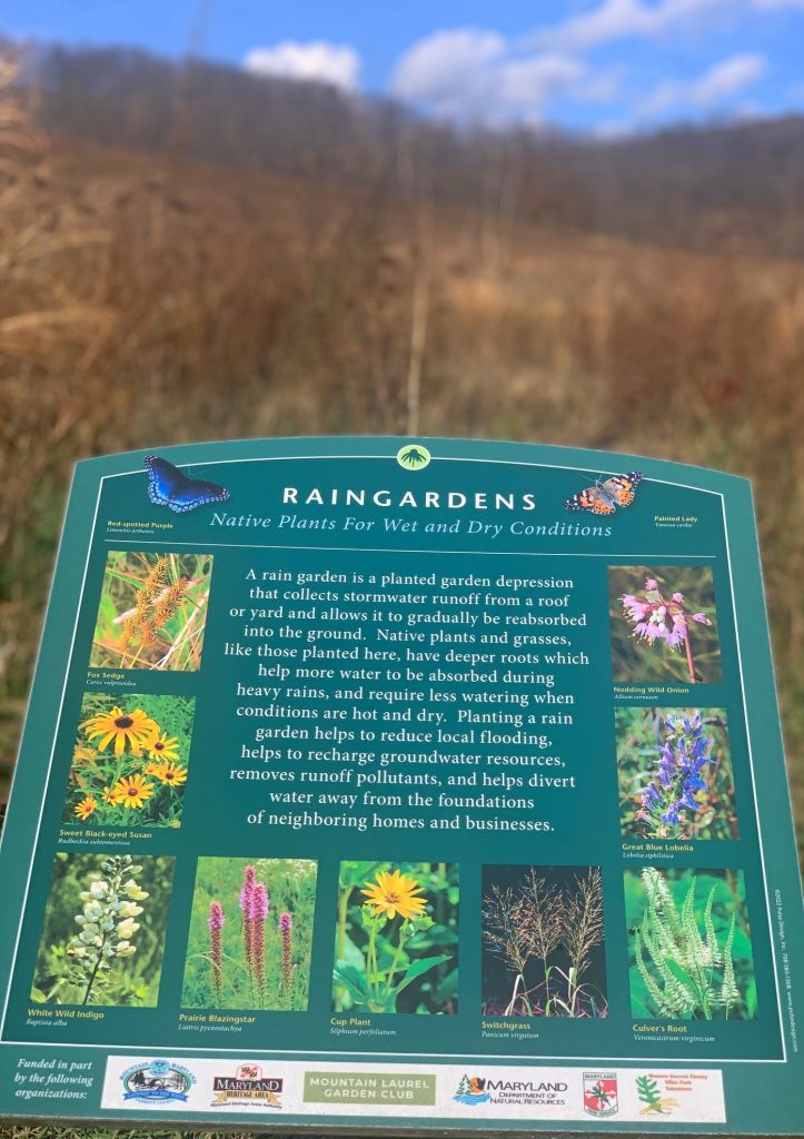 pollinator garden at sang run state park