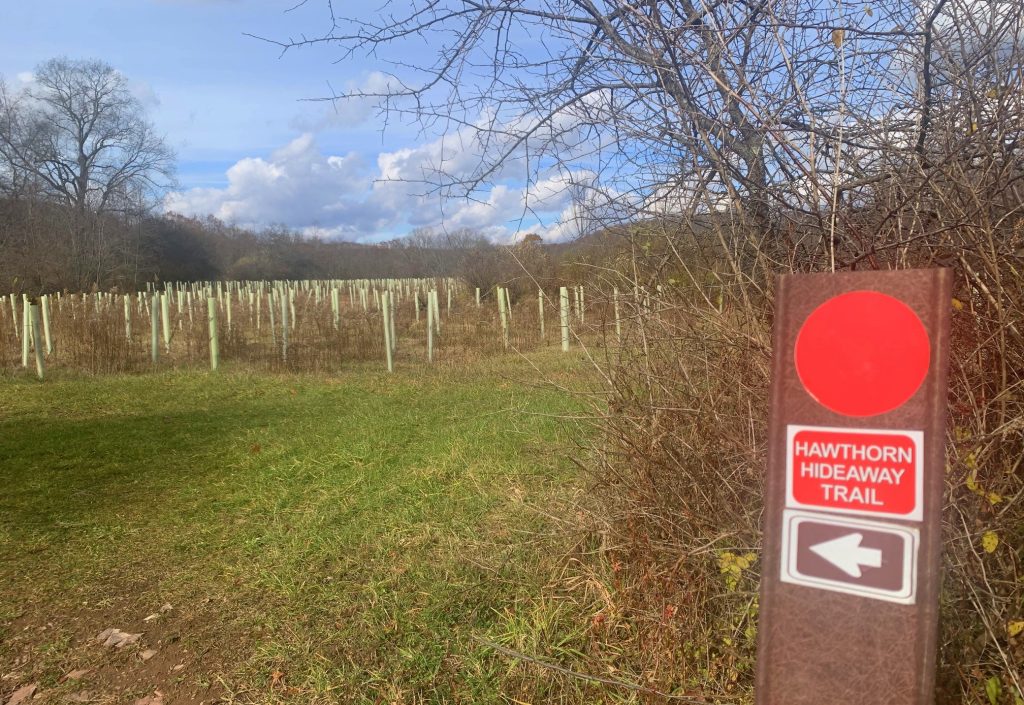 hawthorn trail at sang run state park