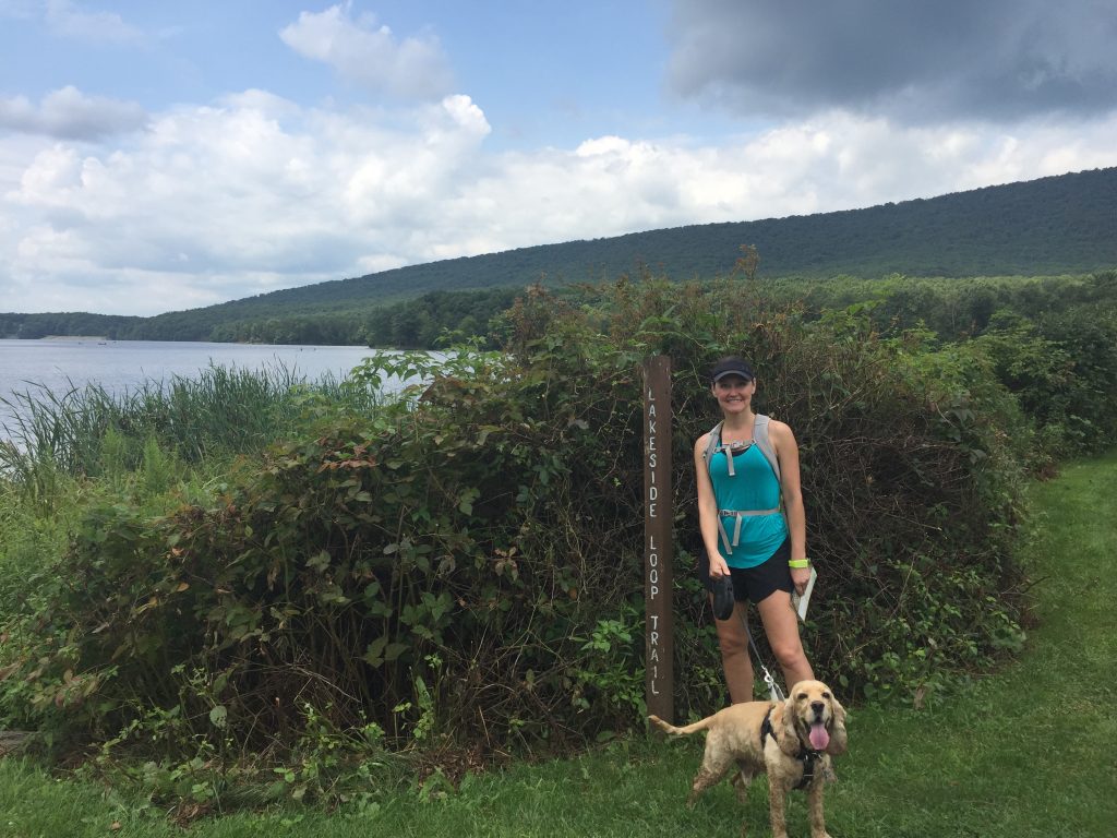 franklin at rocky gap state park in maryland