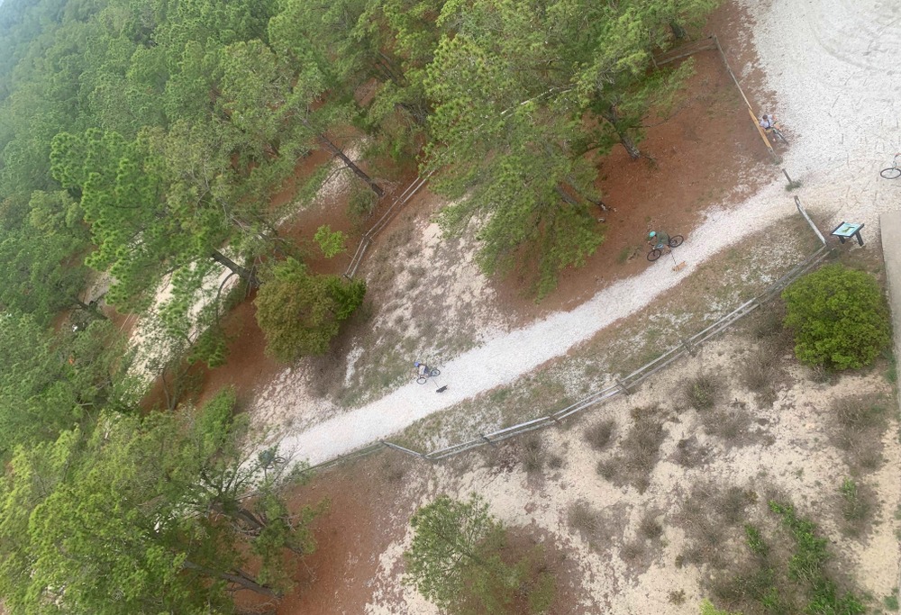 view from the observation tower at cape henlopen