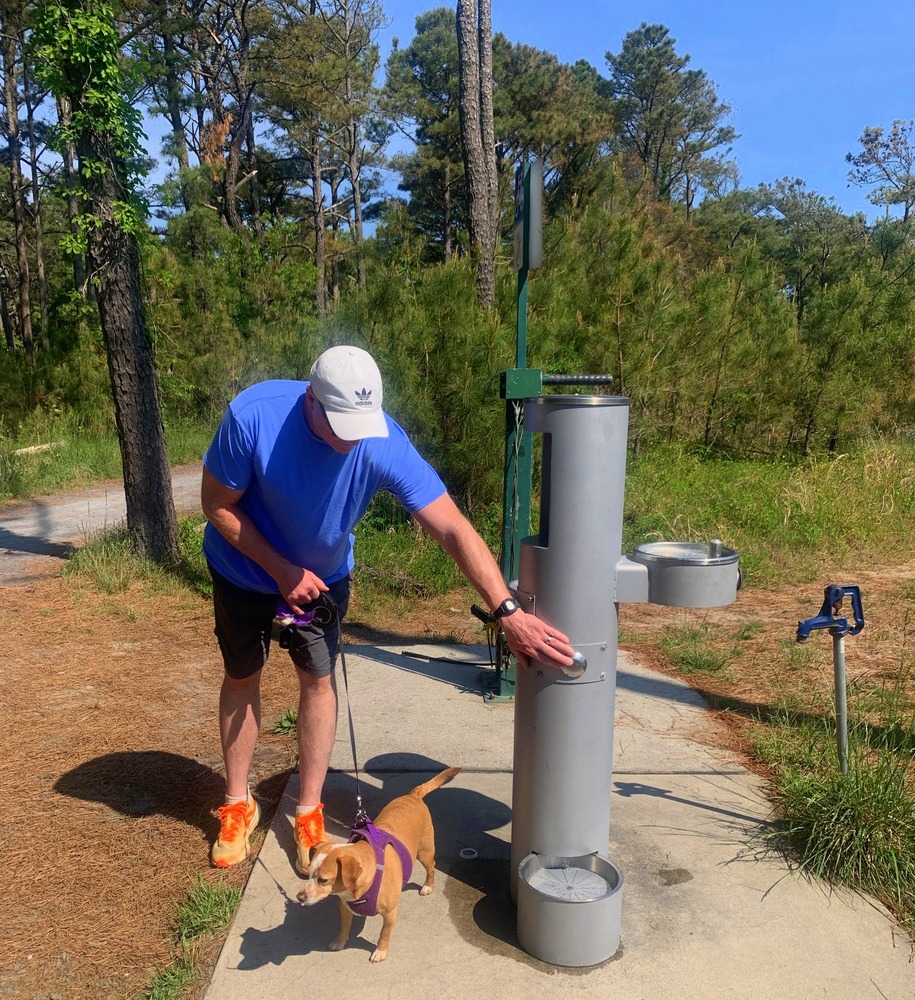 watering stations in cape henlopen