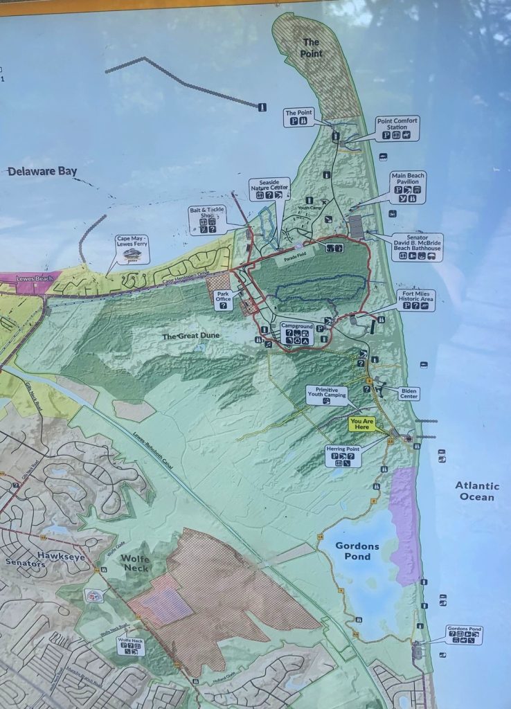 cape henlopen trail map