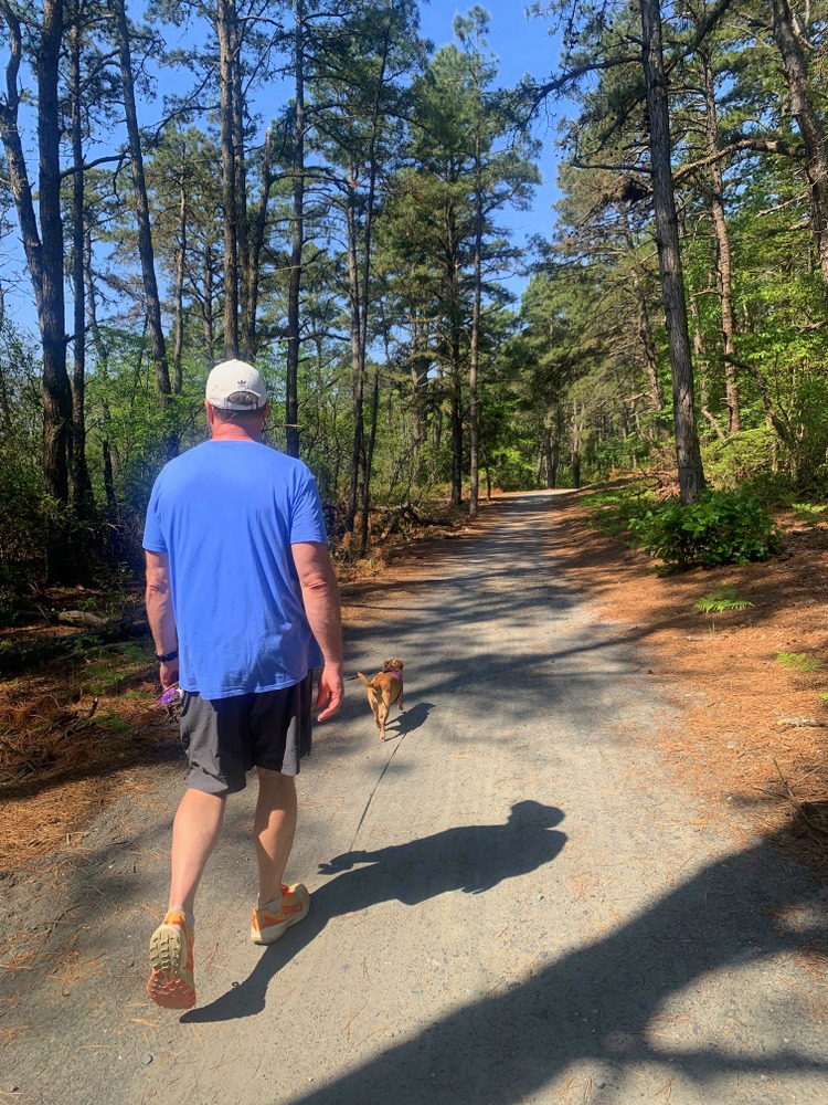 Hazel on Walking Dunes Trail in Cape Henlopen State Park