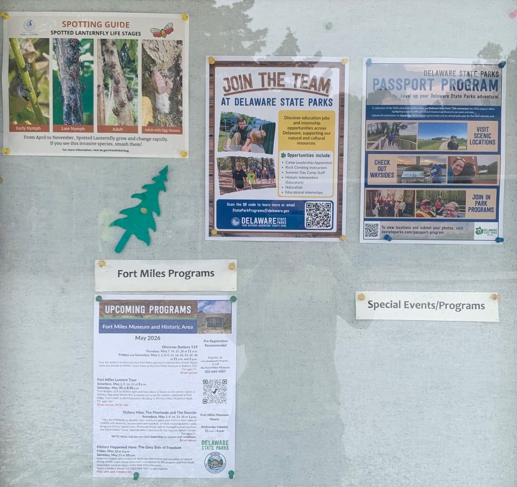 cape henlopen activities and educational programs