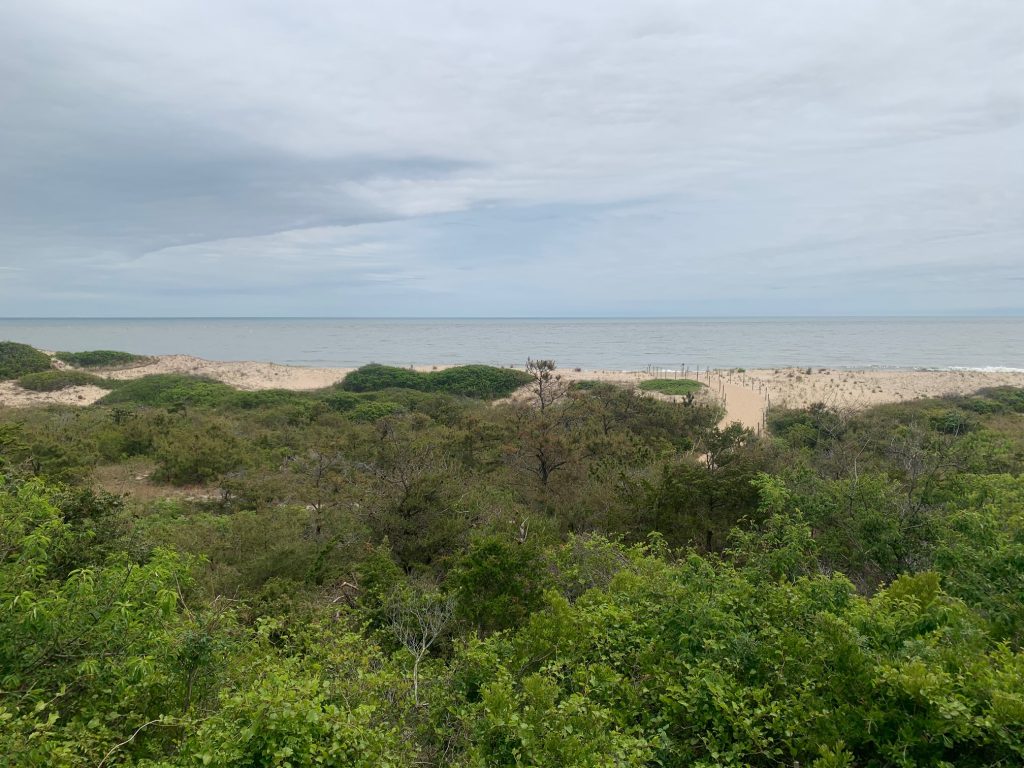 cape henlopen beach