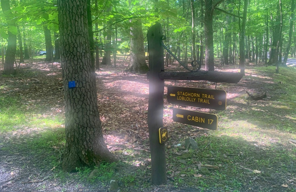 sign to cabin 17 at lost river state park wv