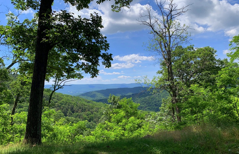 first lookout before cranny crow at lost river state park in wv