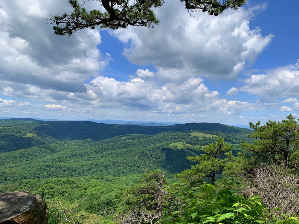 cranny crow overlook in lost river state park wv