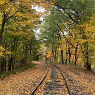 From a few weeks ago- we loved the rail bikes from @tracksandyaks out of Frostburg, MD!

More photos and details on the blog!

#railbikes #tracksandyakstour #betterlatethannever #lastleafpeeping