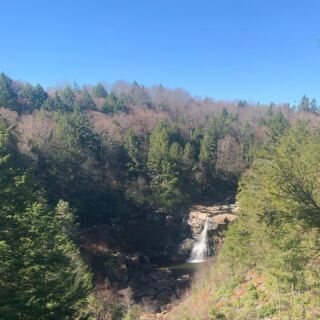 Back in wild & wonderful West Virginia last weekend at Blackwater Falls State Park Lodge! 

We loved the dog-friendly lodge stay, from being close to hiking to borrowing the snazziest dog bowls ever! 

Read the Trip Report now. #linkinbio #ontheblog 

#wildandwonderfulwv #blackwaterfallsstatepark #lodgelife #doghikes #crystaldogbowls #adventuresoffranklin #adventuresofhazel #hikingadventures #hikingweekend
